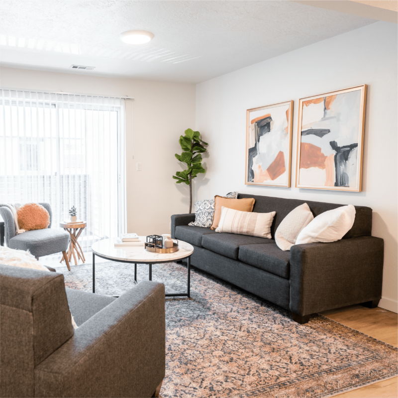 Furnished Apartment Living Room